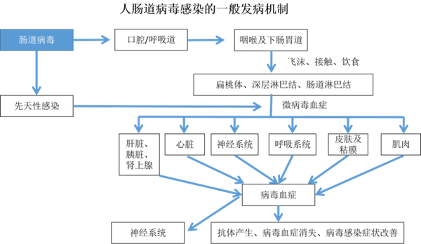 海洋之神·hy590(中国)最新官方网站