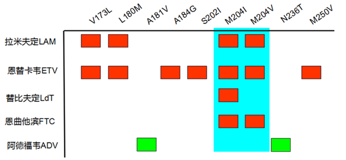 海洋之神·hy590(中国)最新官方网站