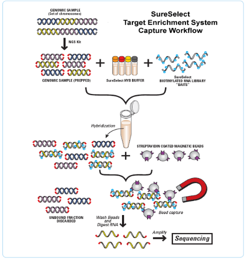 海洋之神·hy590(中国)最新官方网站