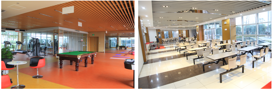 海洋之神·hy590(中国)最新官方网站