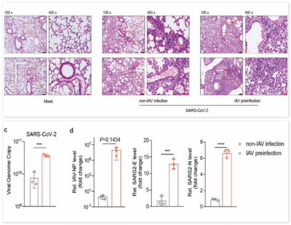 海洋之神·hy590(中国)最新官方网站