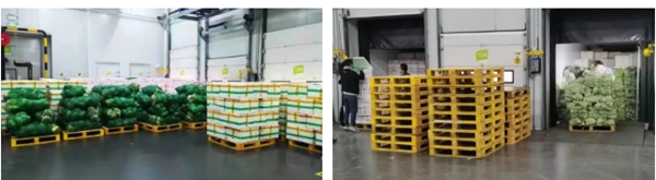 海洋之神·hy590(中国)最新官方网站